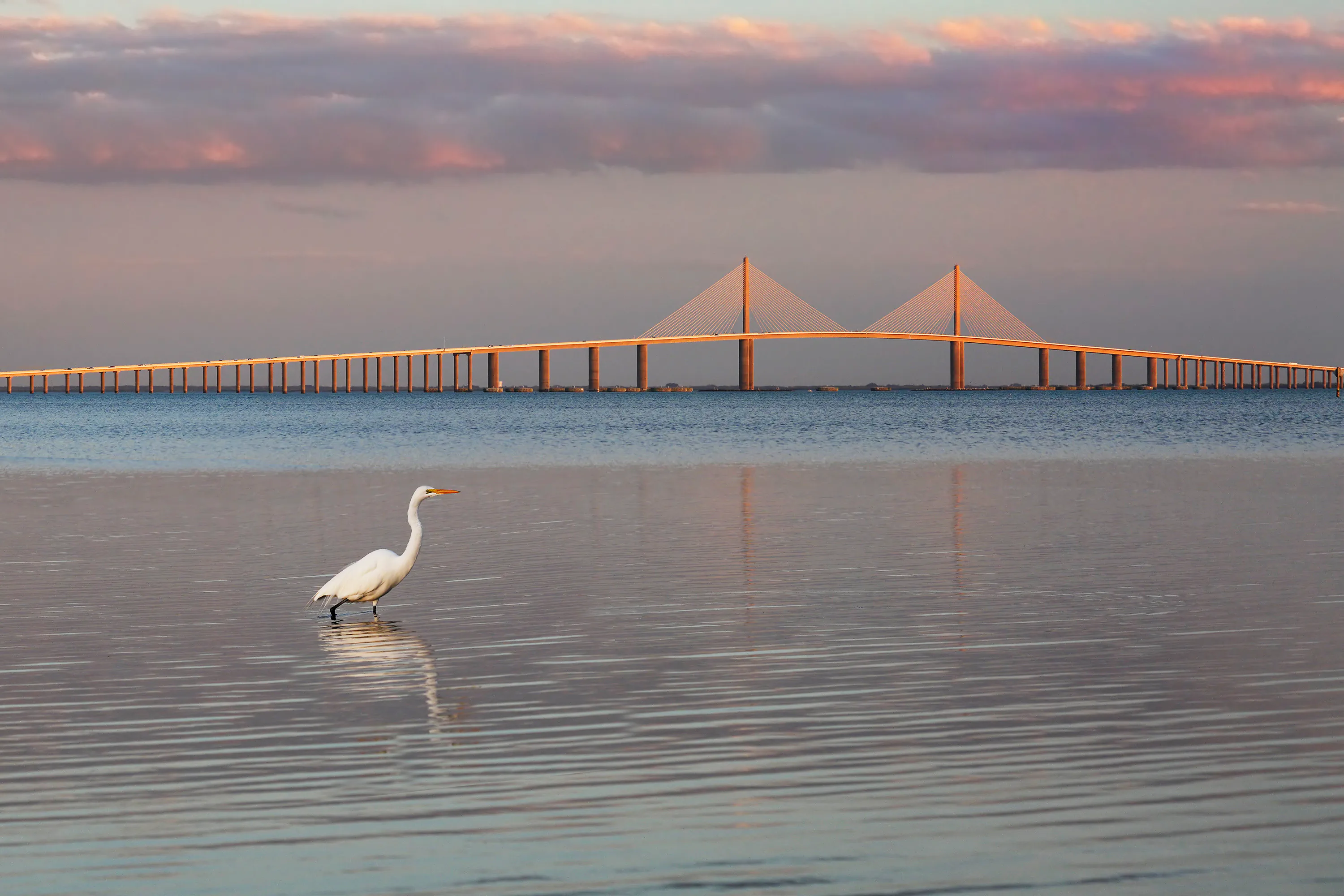 Views of the Sunshine Skyway Bridge near Palmetto, FL